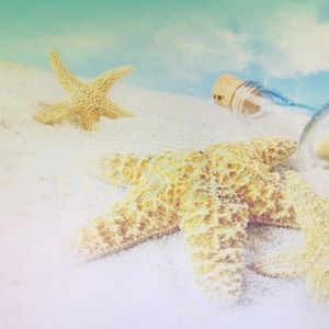 Meet your Posher, Julius